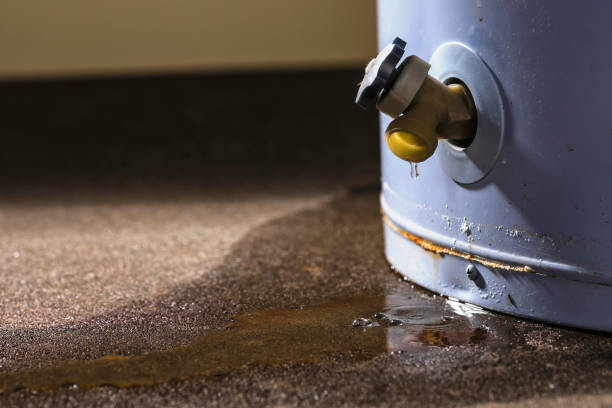 Best Flooded house restoration  in Iva, SC