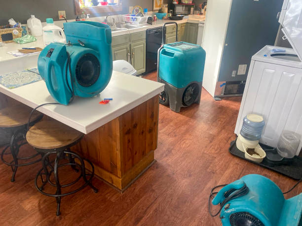 Best Sewage cleanup and water damage restoration  in Iva, SC