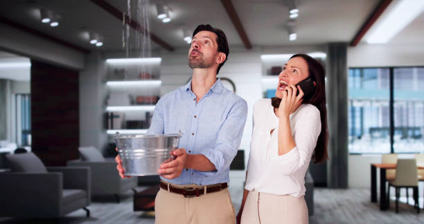 Best 24-hour water damage restoration  in Iva, SC