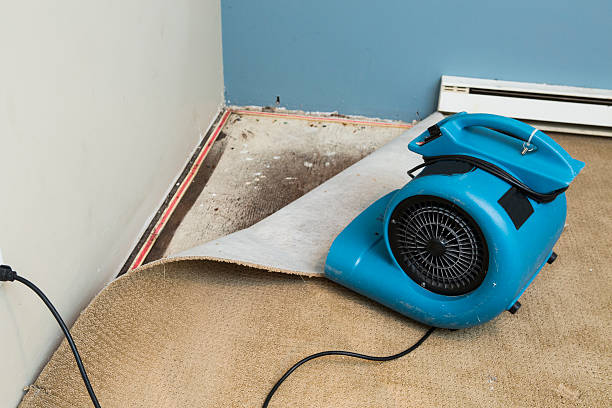 Best Sewage cleanup and water damage restoration  in Iva, SC